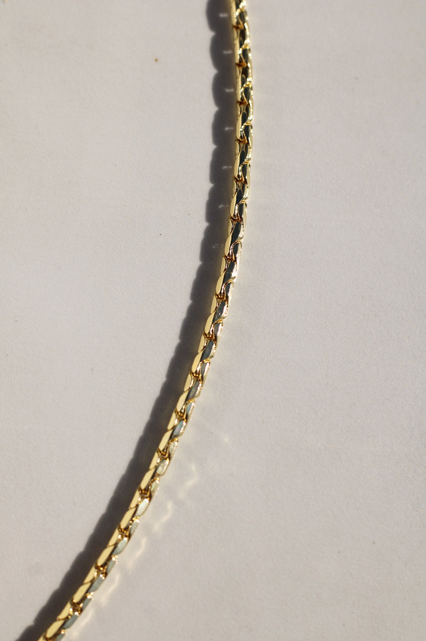 Snaked Chain necklace